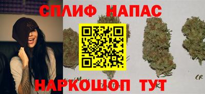 спайс Будённовск